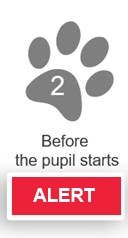 Stage 2 - Alert: Before the pupil starts: