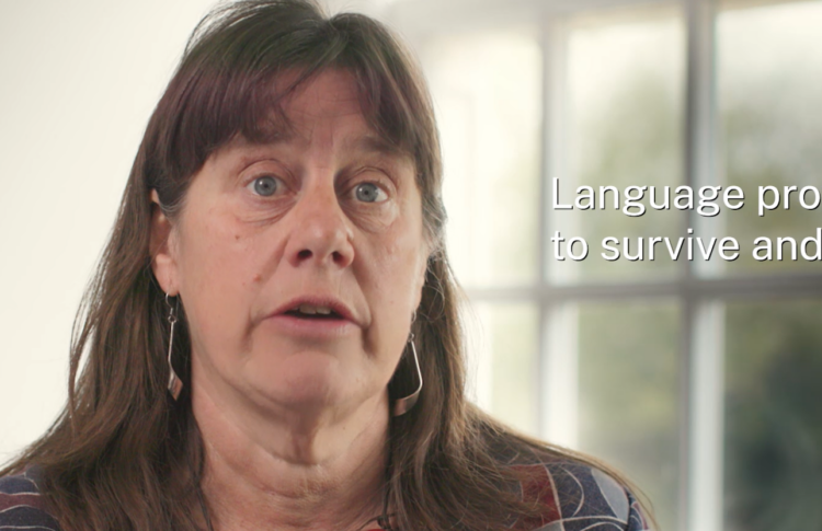 A manifesto for ESOL