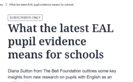 Screenshot of opinion piece with TES magazine