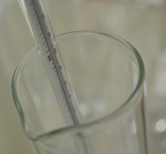 A thermometer inside a beaker